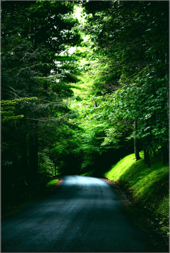 Main image Dark Road