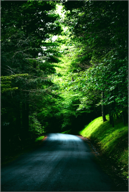 Main image Dark Road