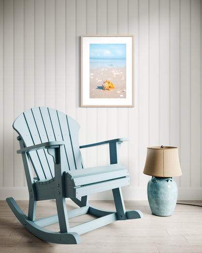 Beachy Shell