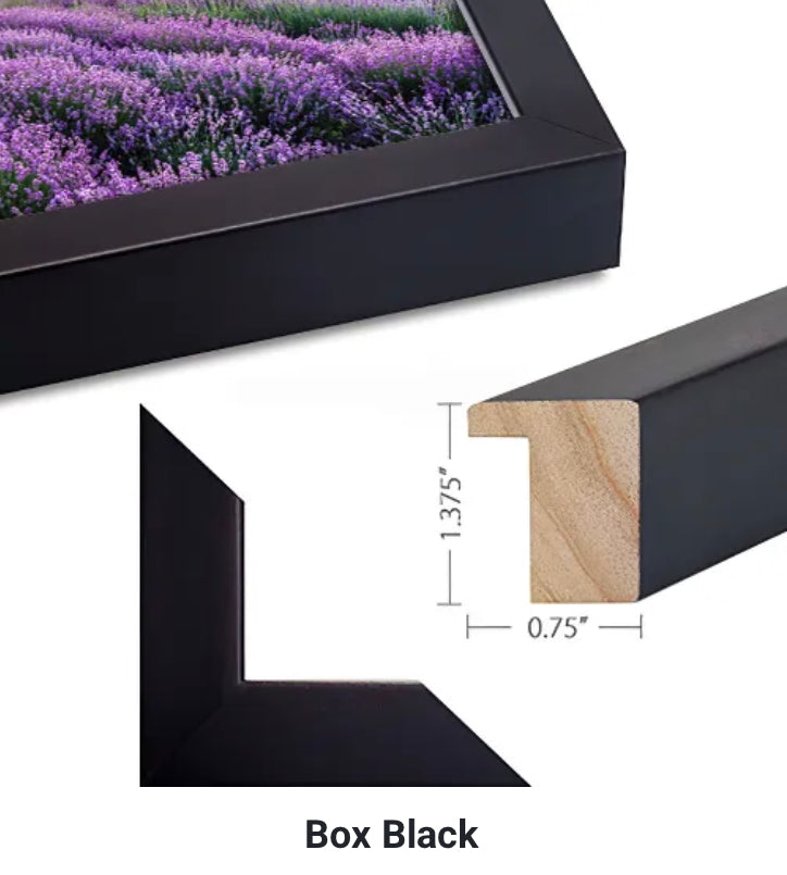 Lower Manhattan Business Man