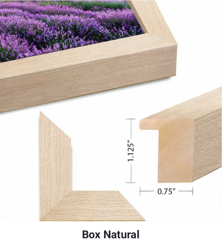 Lower Manhattan Business Man