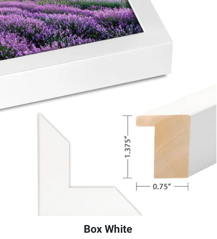 Lower Manhattan Business Man