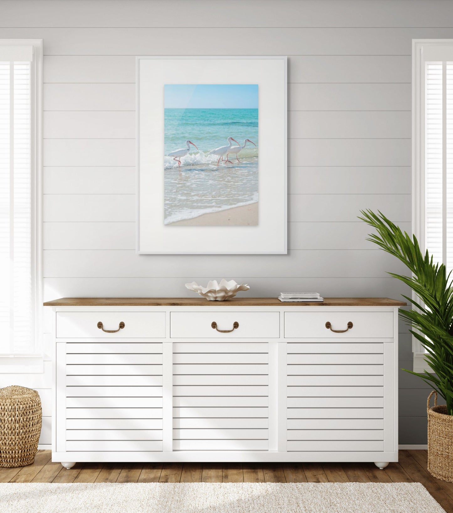 Florida Beach Birds