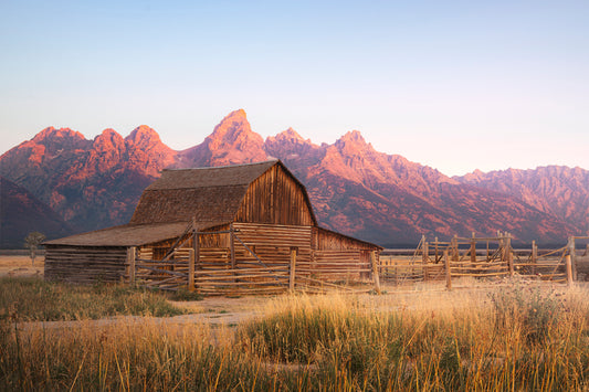 Mormon Row at Sunrise