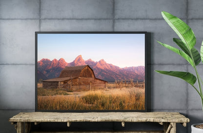 Mormon Row at Sunrise