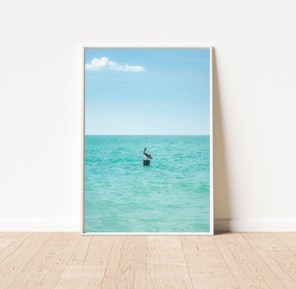 Pelican Solitude