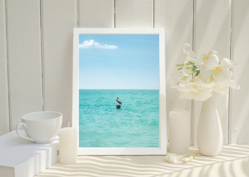 Pelican Solitude
