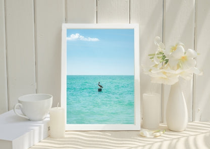 Pelican Solitude