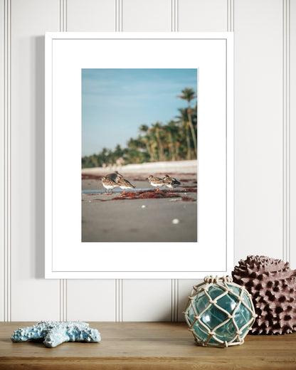 Beach Friends