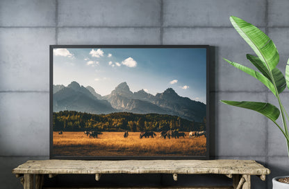 Tetons Horse Pasture