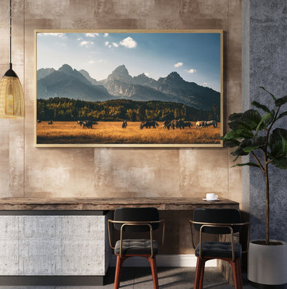 Tetons Horse Pasture