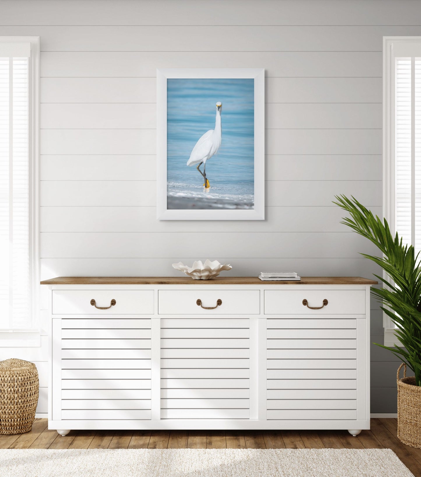 Florida Egret